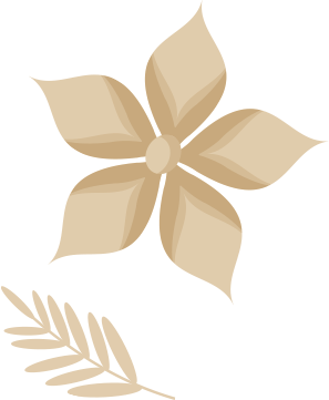 about-us-design-element.png