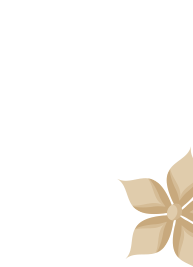 hero-right-design.png