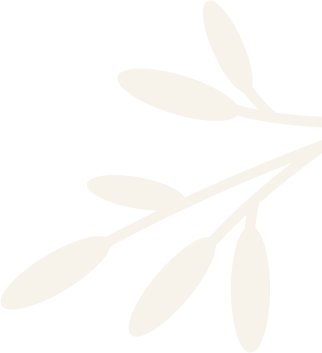 our-specialities-design-element.png